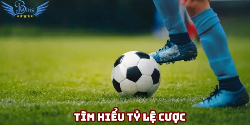 Tìm hiểu tỷ lệ cược để đưa ra lựa chọn chính xác