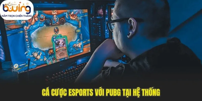Cá cược esports với PUBG tại hệ thống