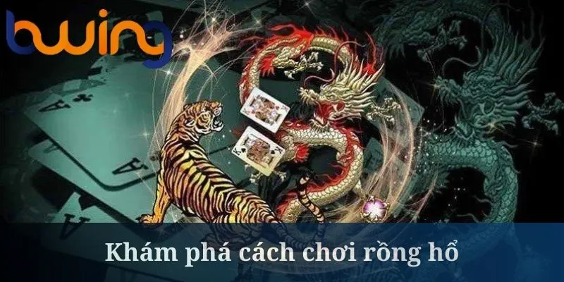 Rồng hổ và những quy luật cơ bản nhất