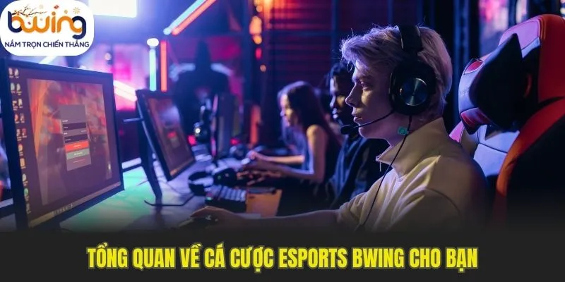 Tổng quan về cá cược esports bwing cho bạn